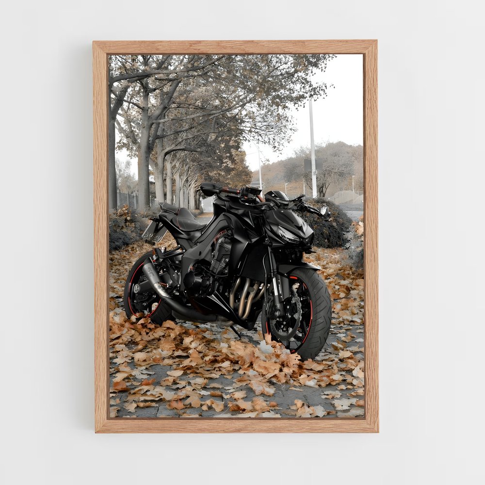 ap-z1000-4 cadre Bois clair