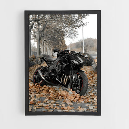 ap-z1000-4 cadre Noir