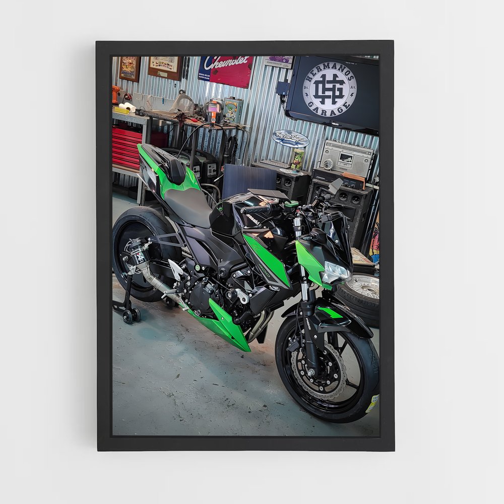 ap-z400-1 cadre Noir