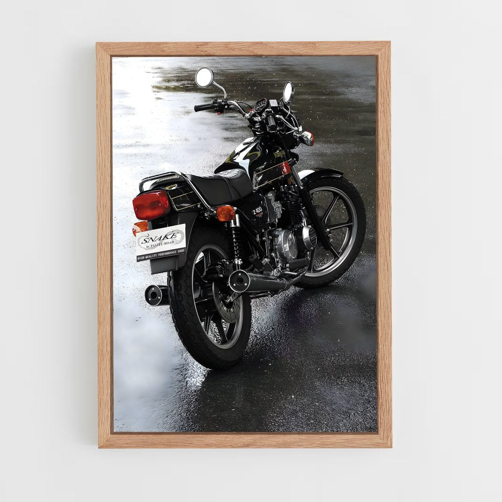 ap-z400-2 cadre Bois clair