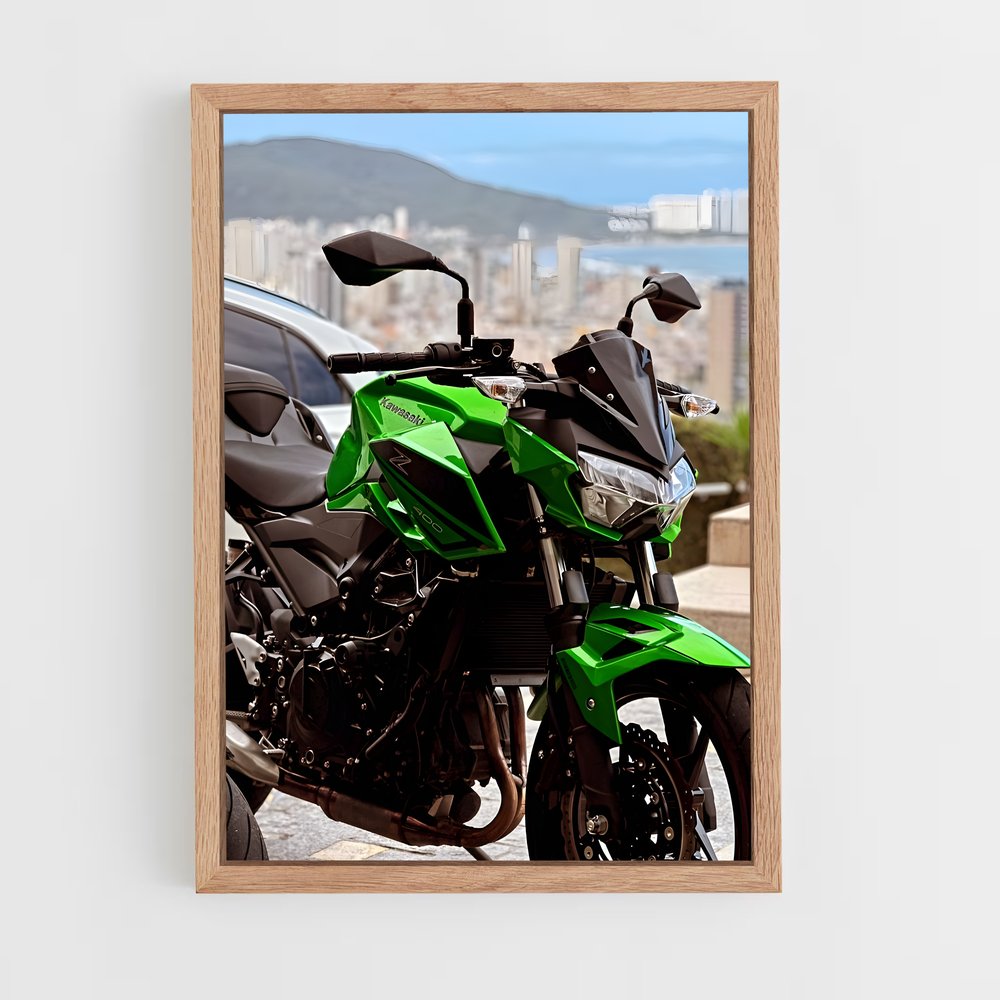 ap-z400-3 cadre Bois clair