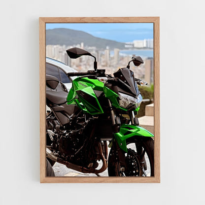 ap-z400-3 cadre Bois clair