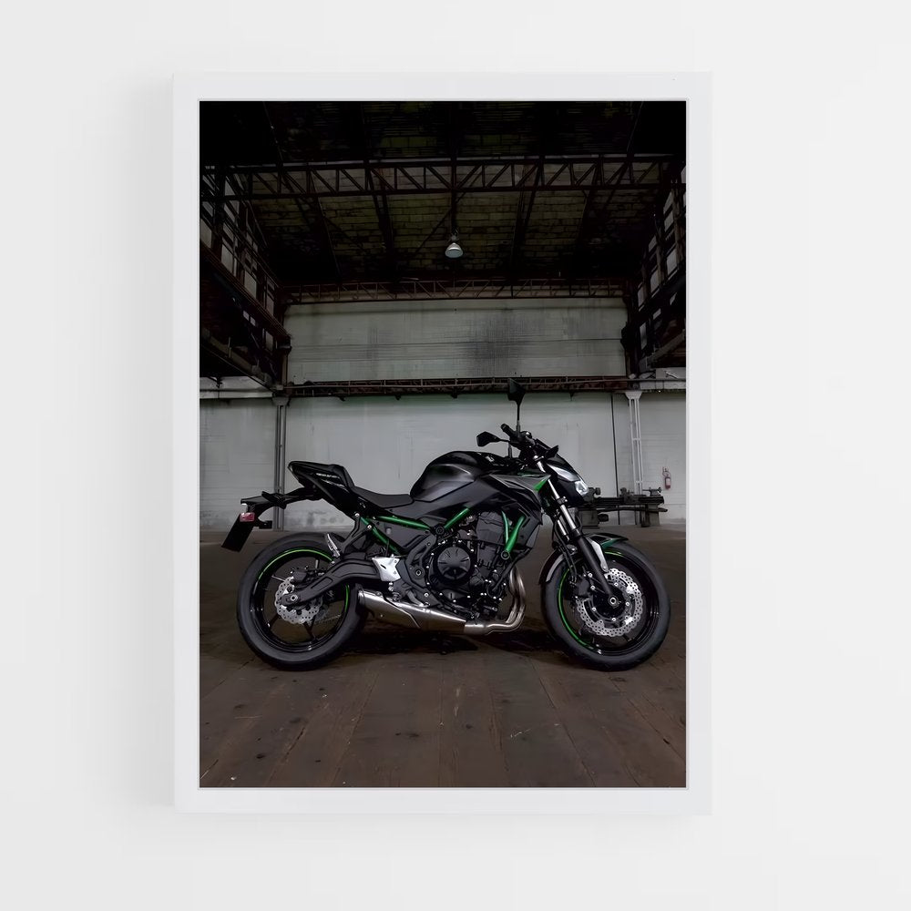 ap-z650-1 cadre Blanc