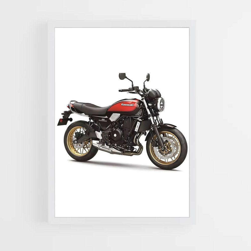 ap-z650rs-1 cadre Blanc