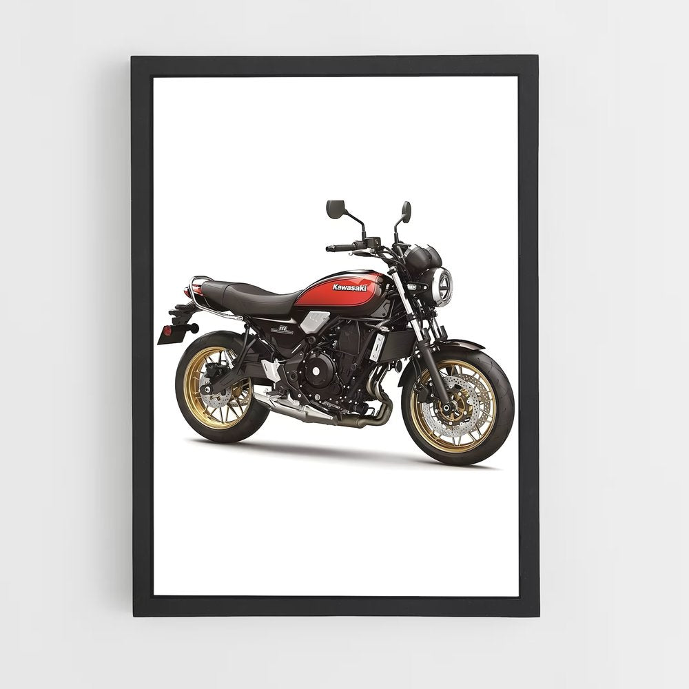 ap-z650rs-1 cadre Noir