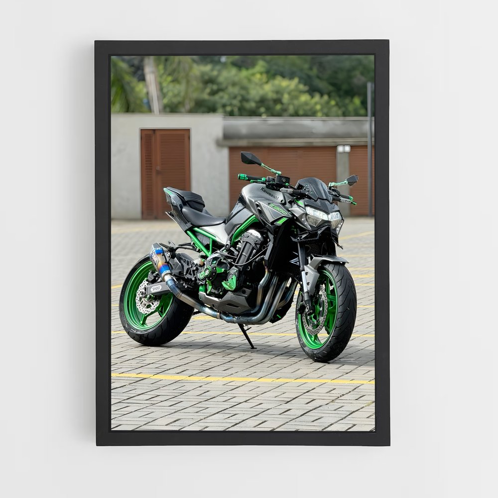 ap-z900-1 cadre Noir