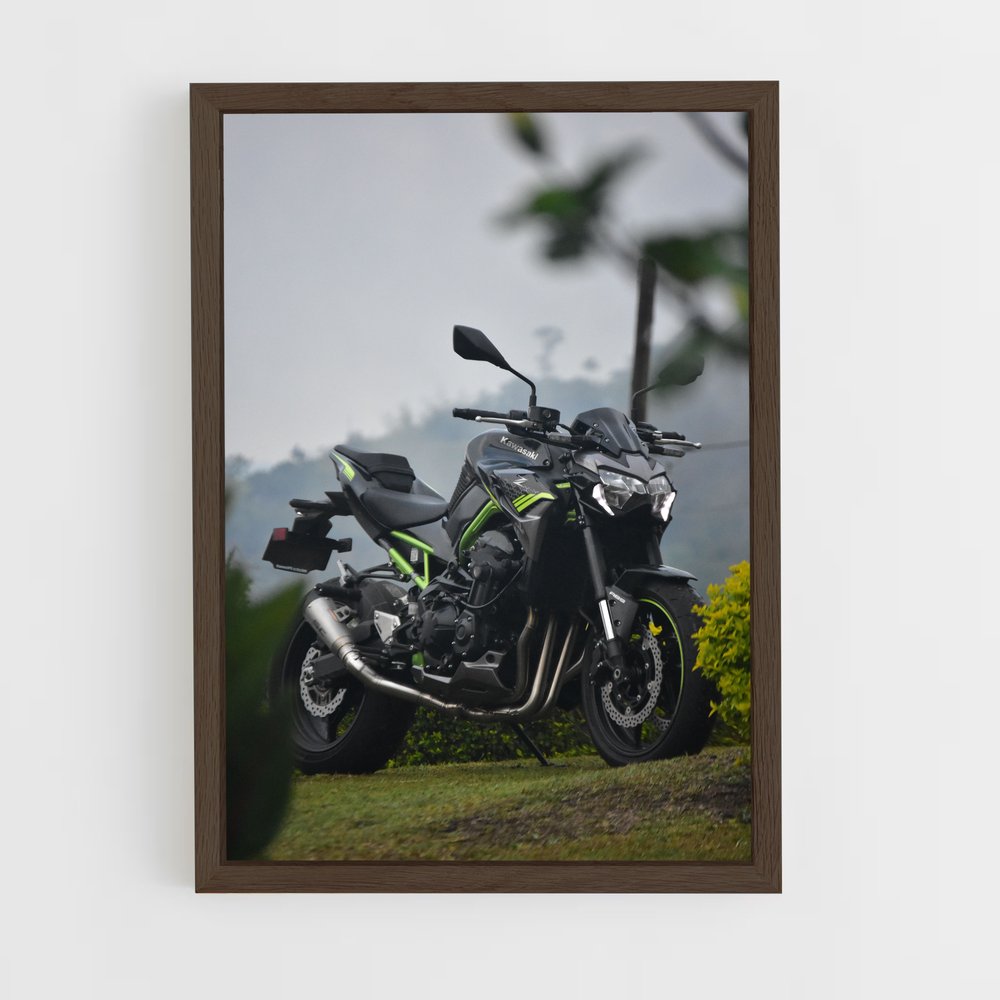 ap-z900-10 cadre Bois foncé