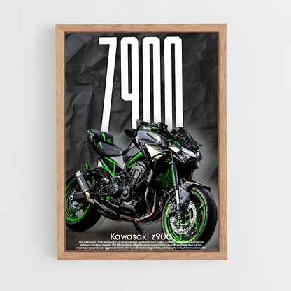 ap-z900-3 cadre Bois clair