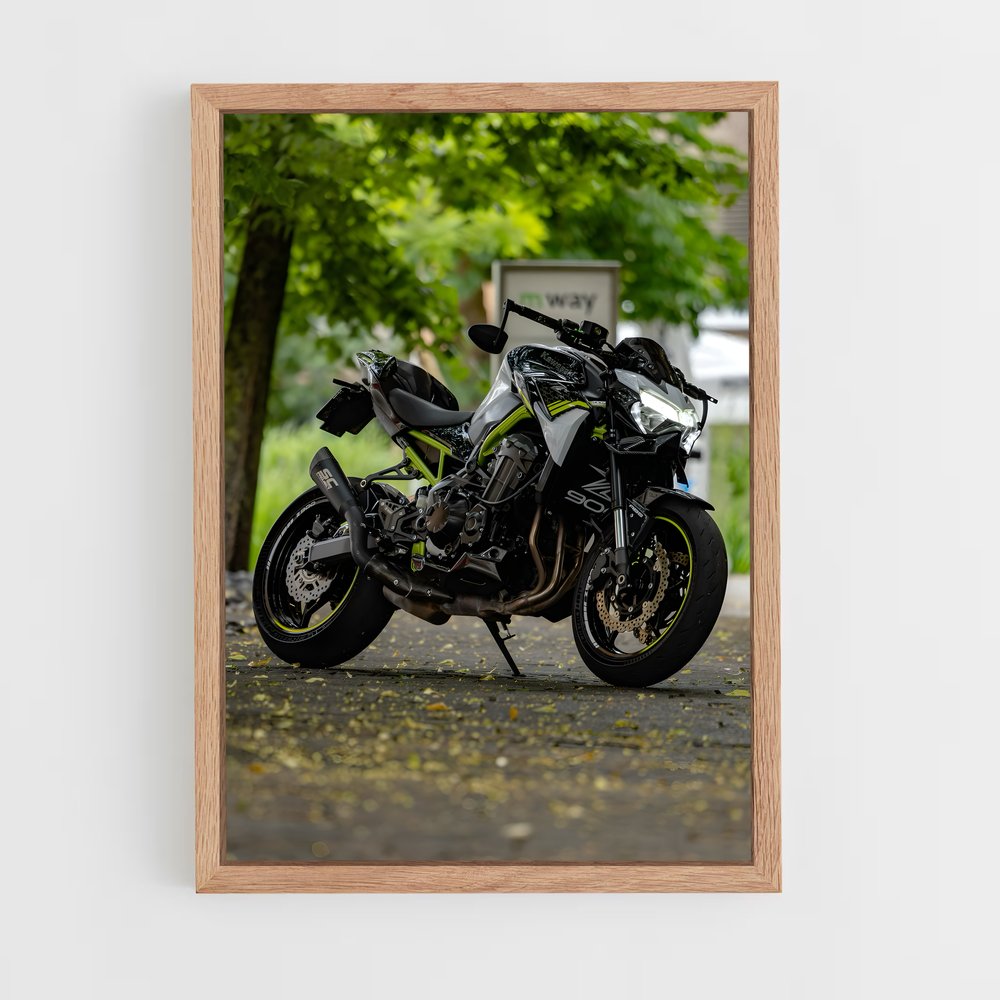 ap-z900-7 cadre Bois clair