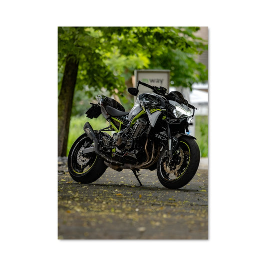 Poster Roadster Dreams