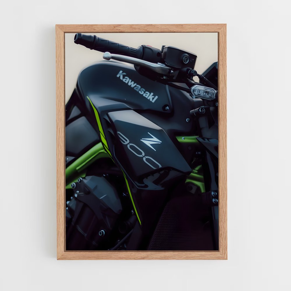 ap-z900-8 cadre Bois clair