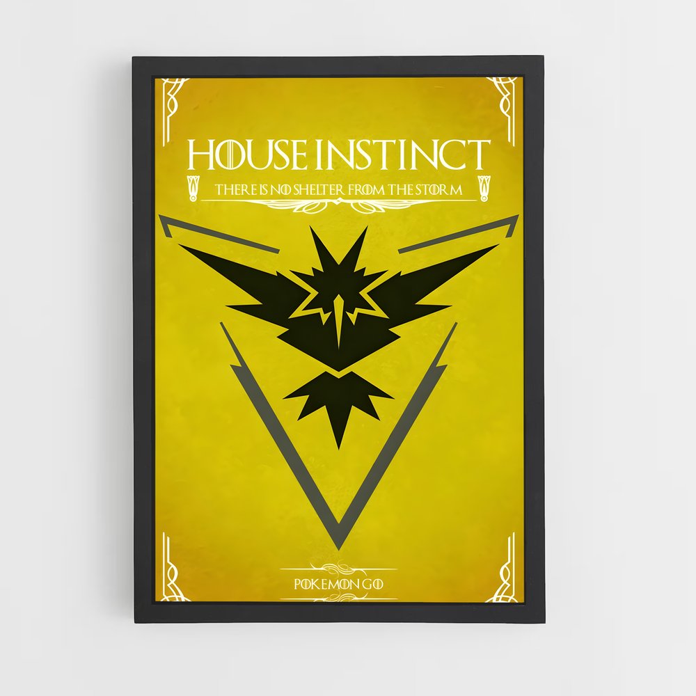 ap-zapdos-5 cadre Noir
