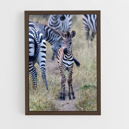 ap-zebra-2 cadre Bois foncé