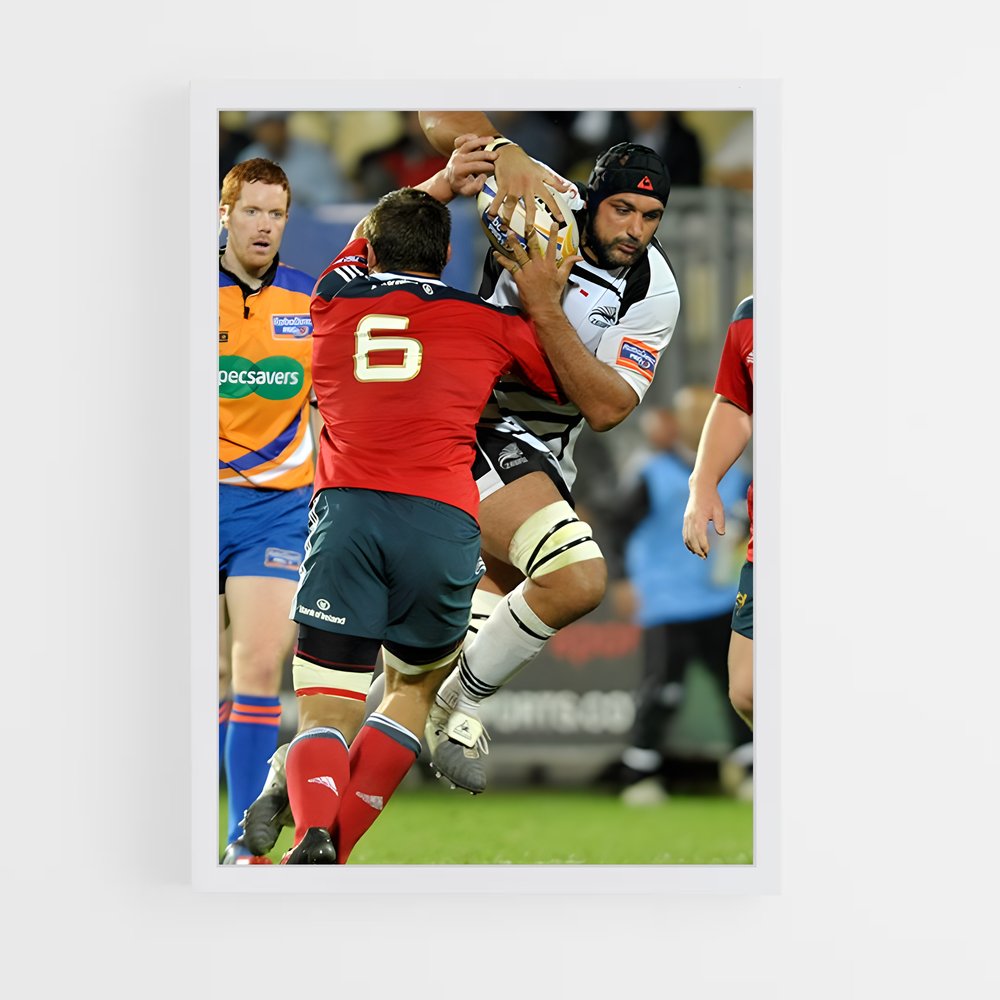 ap-zebre-4 cadre Blanc