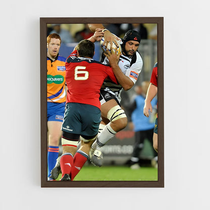 ap-zebre-4 cadre Bois foncé
