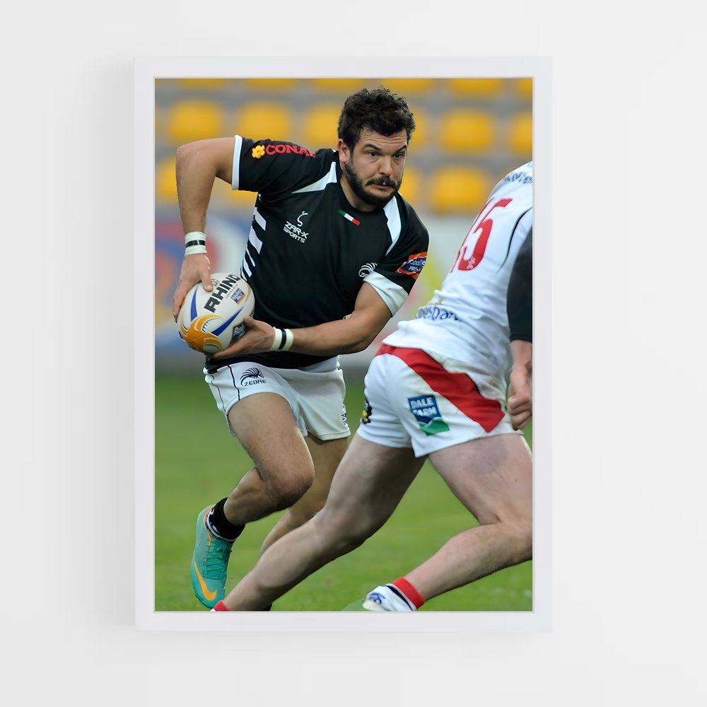 ap-zebre-6 cadre Blanc