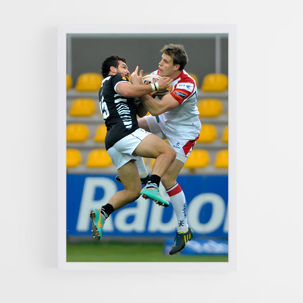 ap-zebre-7 cadre Blanc