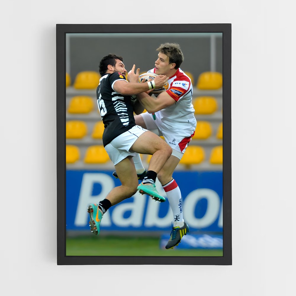ap-zebre-7 cadre Noir