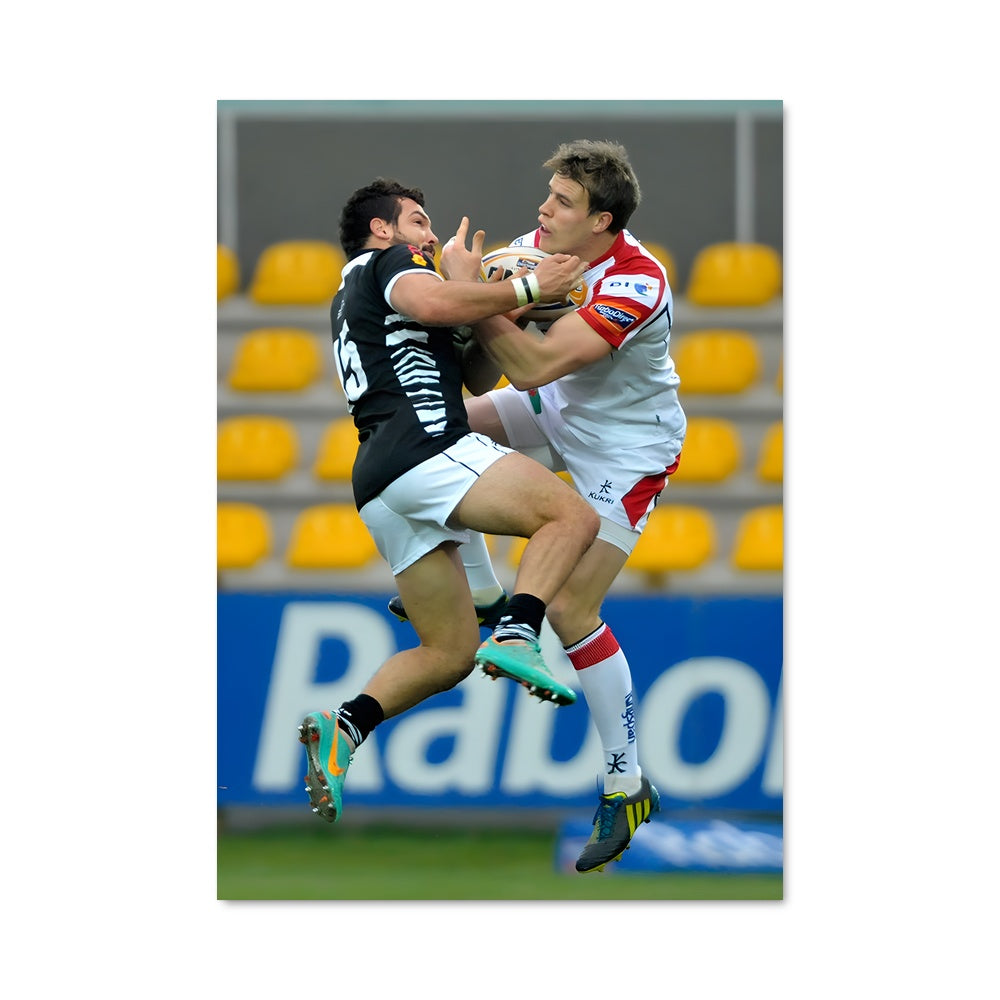 Poster Zebre 74887