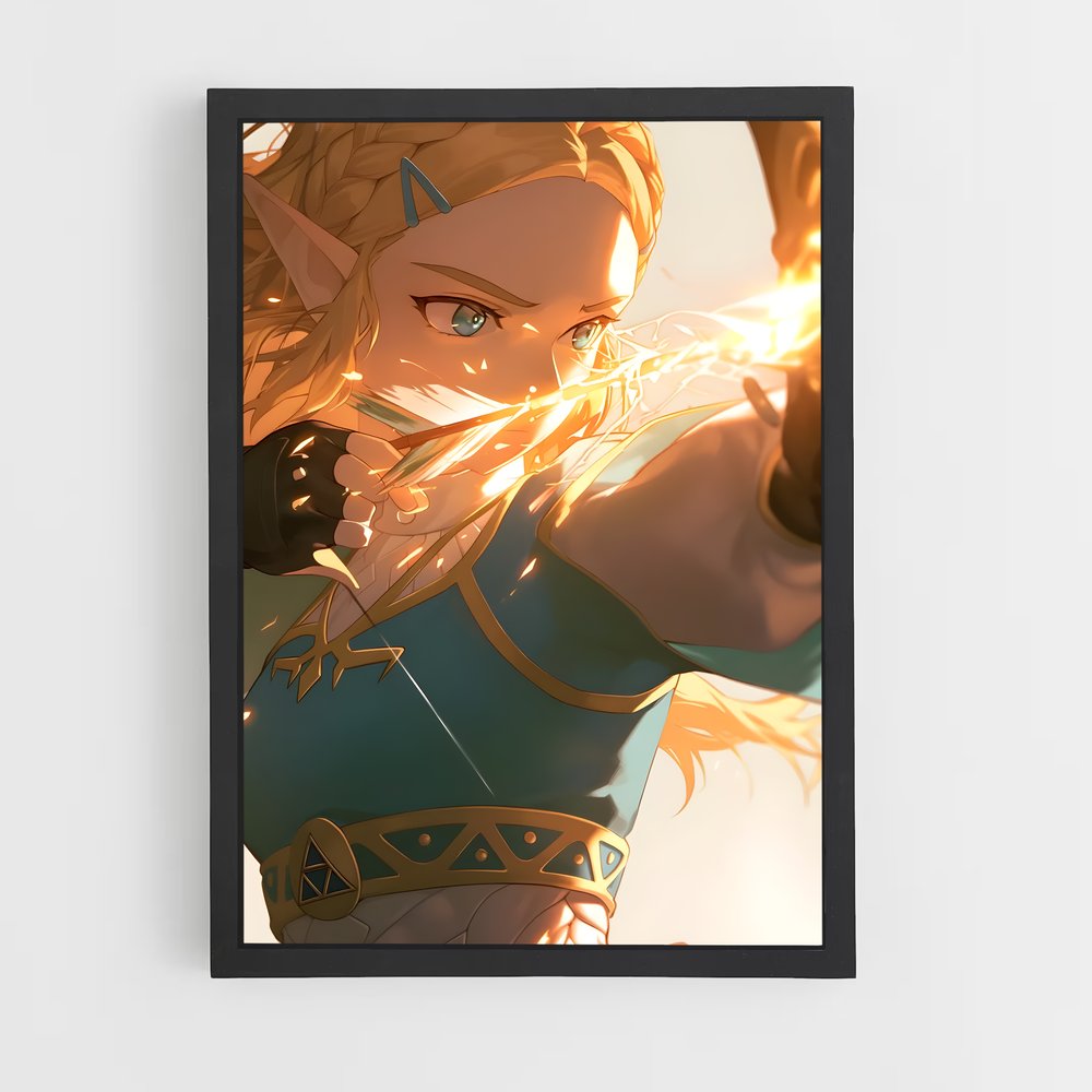 ap-zelda-1 cadre Noir