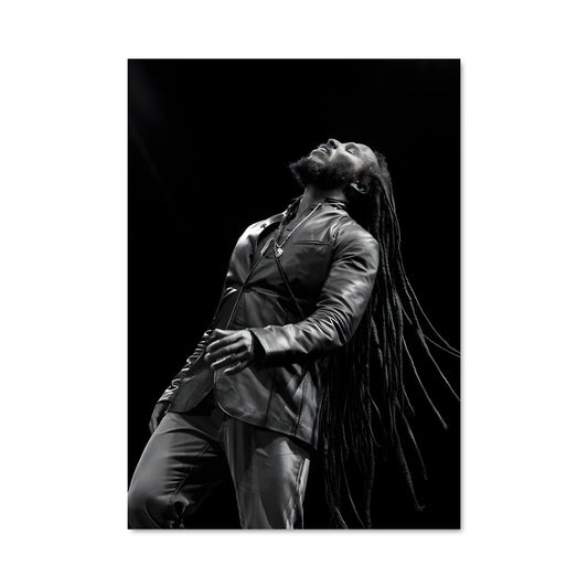 Poster Ziggy marley 52900