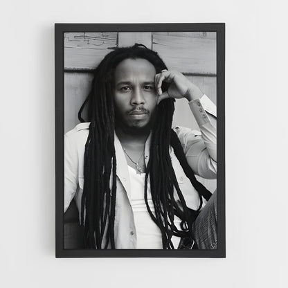 ap-ziggy marley-1 cadre Noir