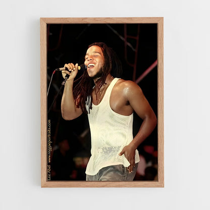 ap-ziggy marley-3 cadre Bois clair