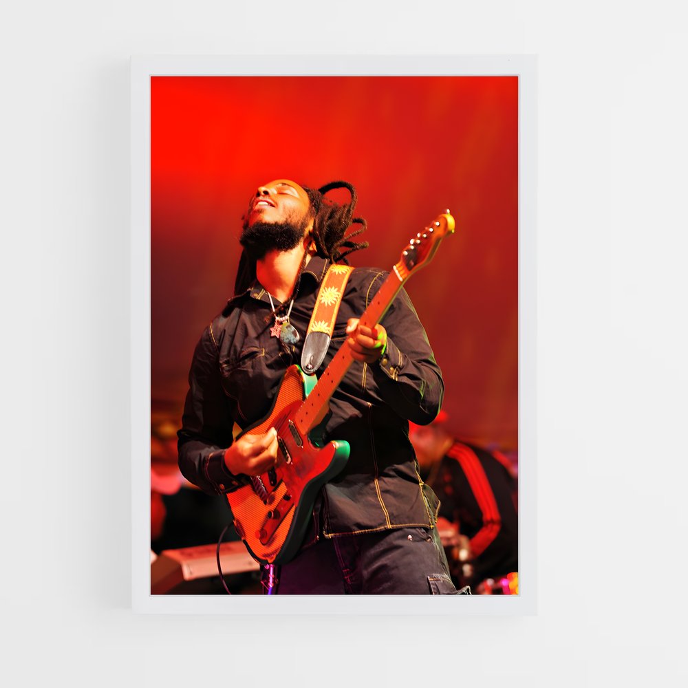 ap-ziggy marley-8 cadre Blanc