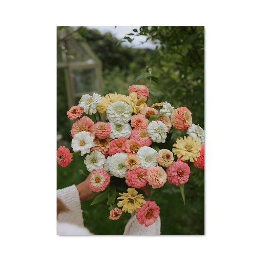 Poster Bouquet de Zinnia