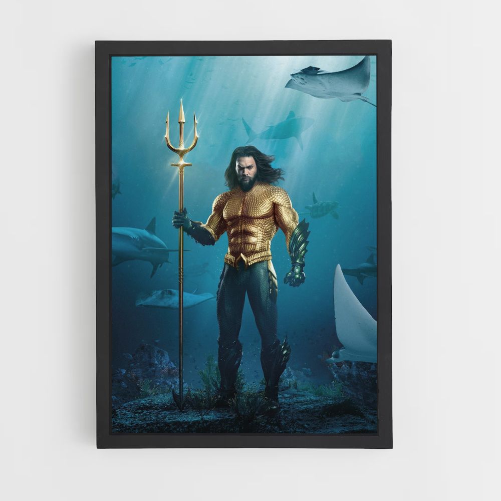 Aquaman kostuumposter