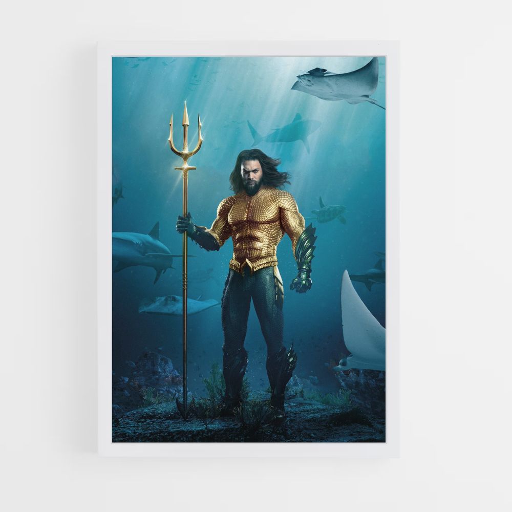 Aquaman kostuumposter