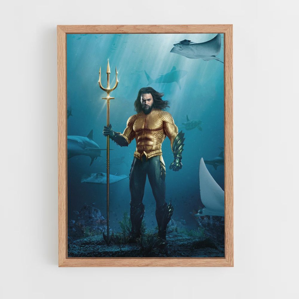 Aquaman kostuumposter