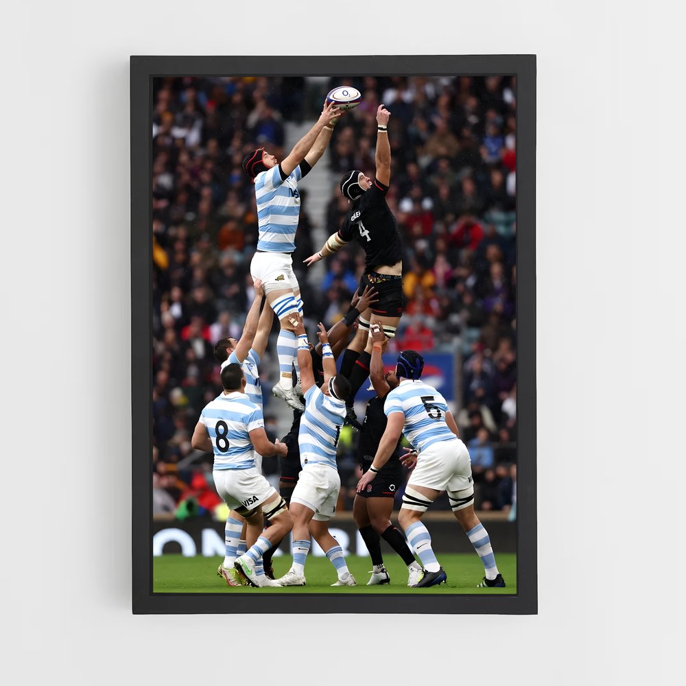 argentina-rugby-7 cadre Noir