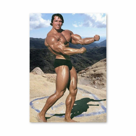 Affiche Arnold Schwarzenegger