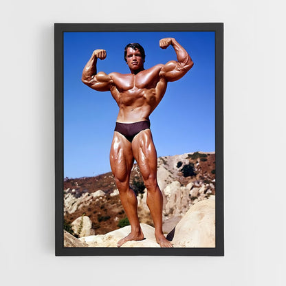 arnold-2 cadre Noir