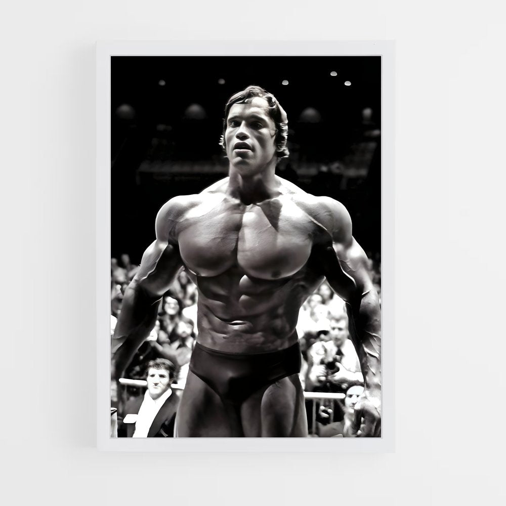 arnold-3 cadre Blanc