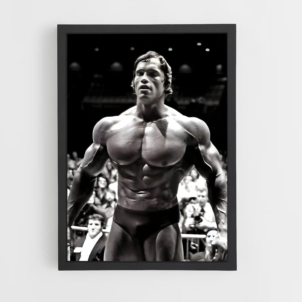 arnold-3 cadre Noir