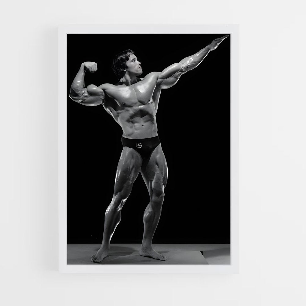 arnold-6 cadre Blanc