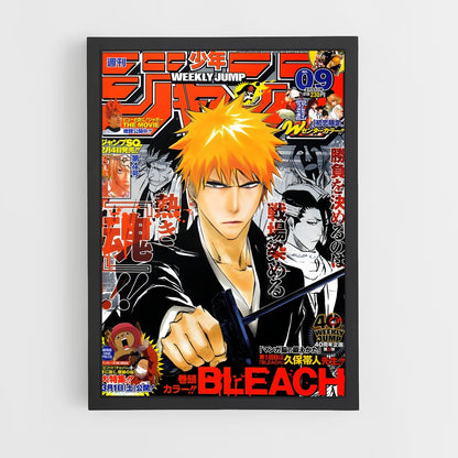 bleach-2 cadre Noir