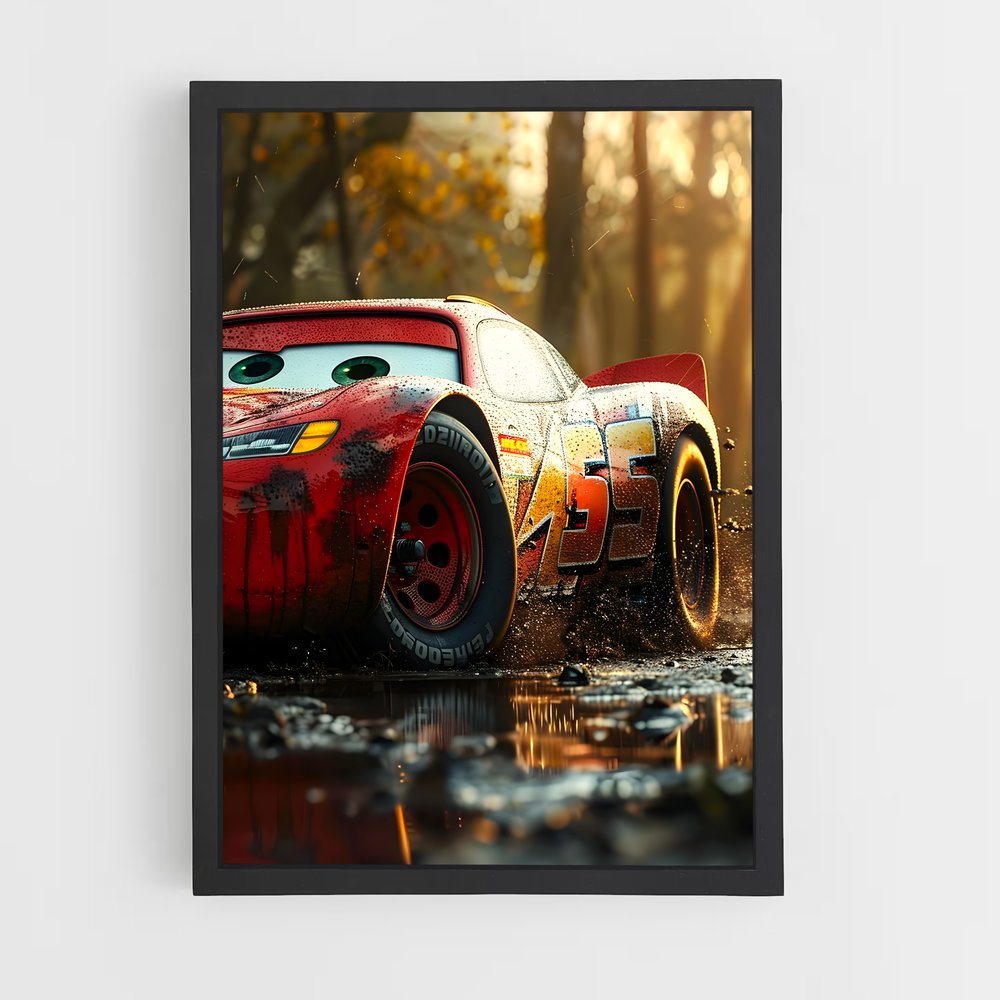 cars-6 cadre Noir
