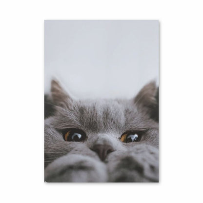 Leuke kattenposter