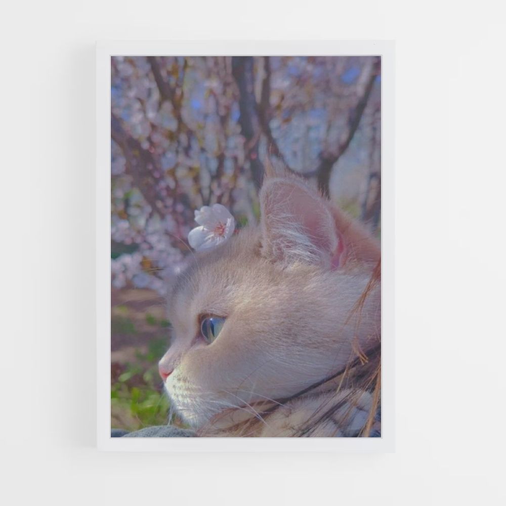 Sakura kat-poster