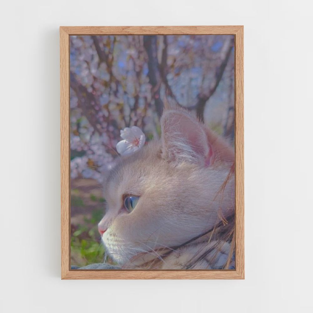 Sakura kat-poster