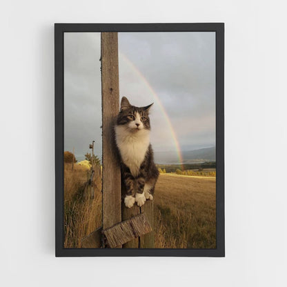 Regenboog kat poster