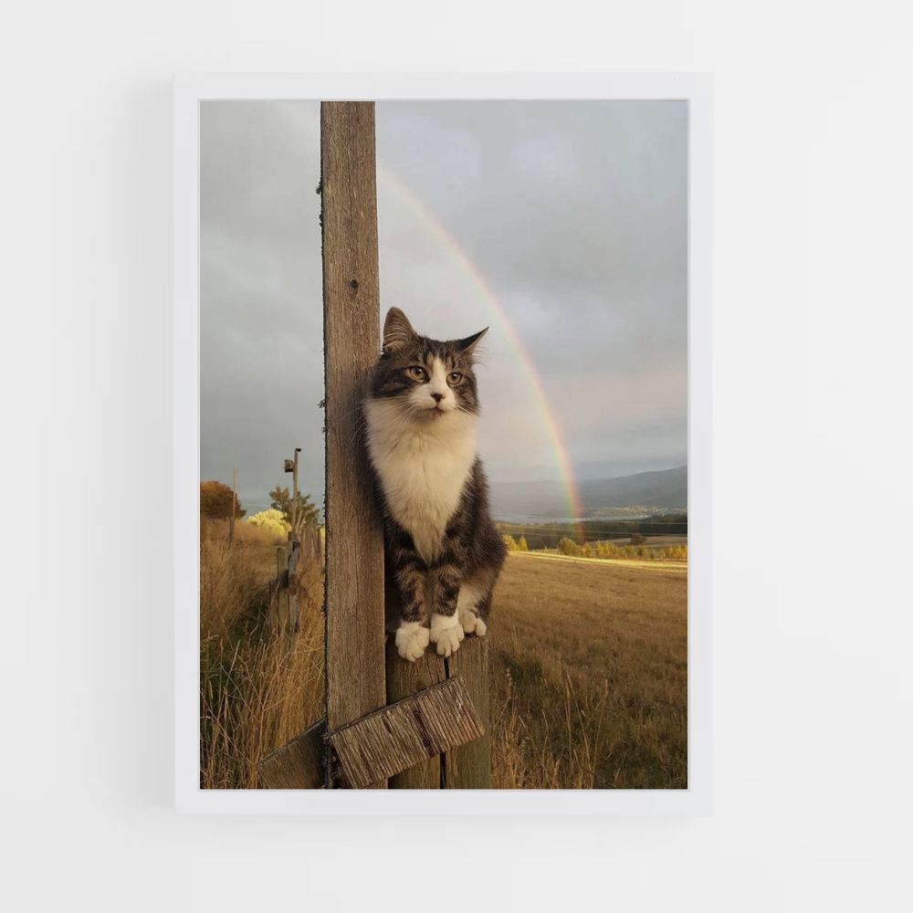 Regenboog kat poster