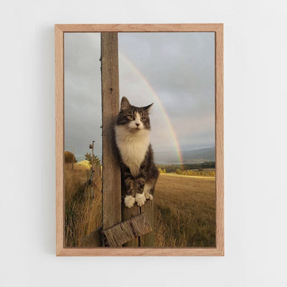 Regenboog kat poster