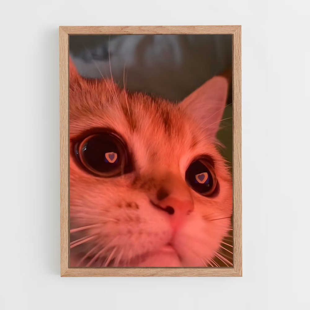 cat-6 cadre Bois clair