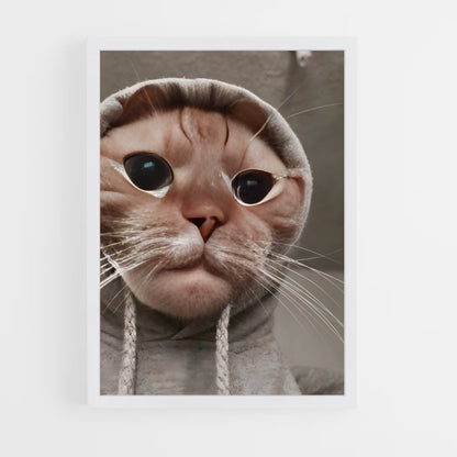 cat-7 cadre Blanc