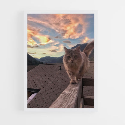 Kat natuur poster