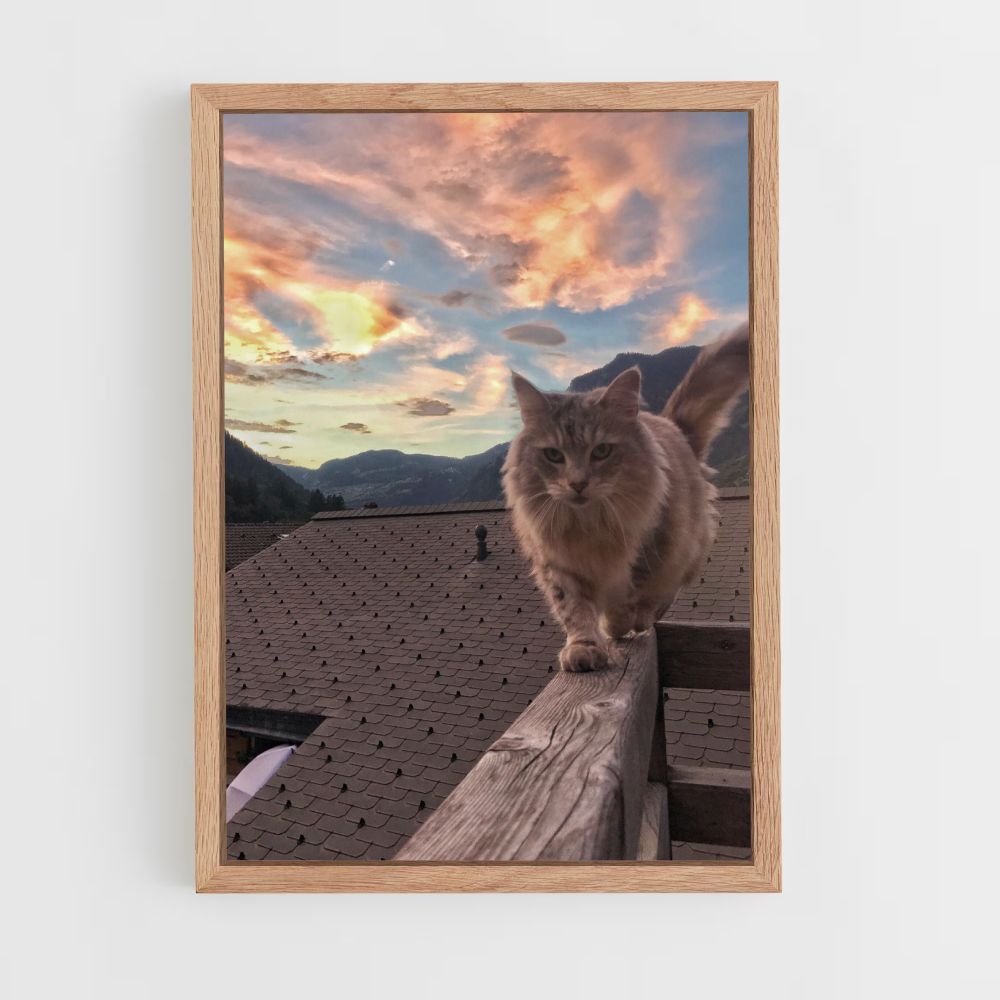 Kat natuur poster